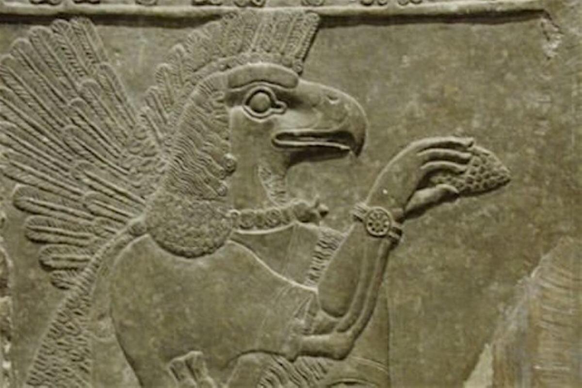 �������