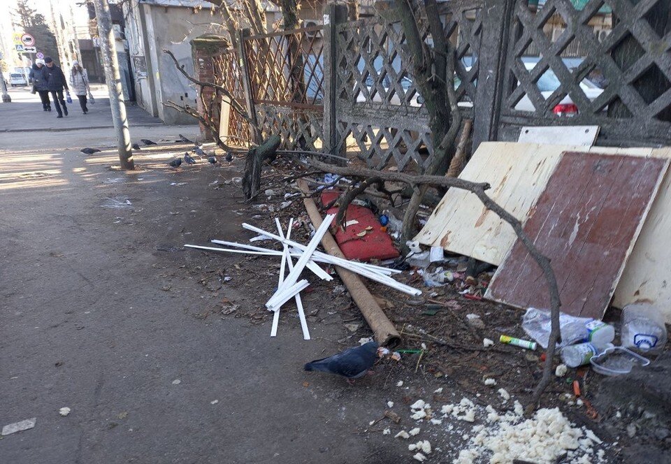     Антисанитарную ситуацию усугубляют голуби, которые снуют около баков с мусором. Анастасия ТАЛЫЗИНА