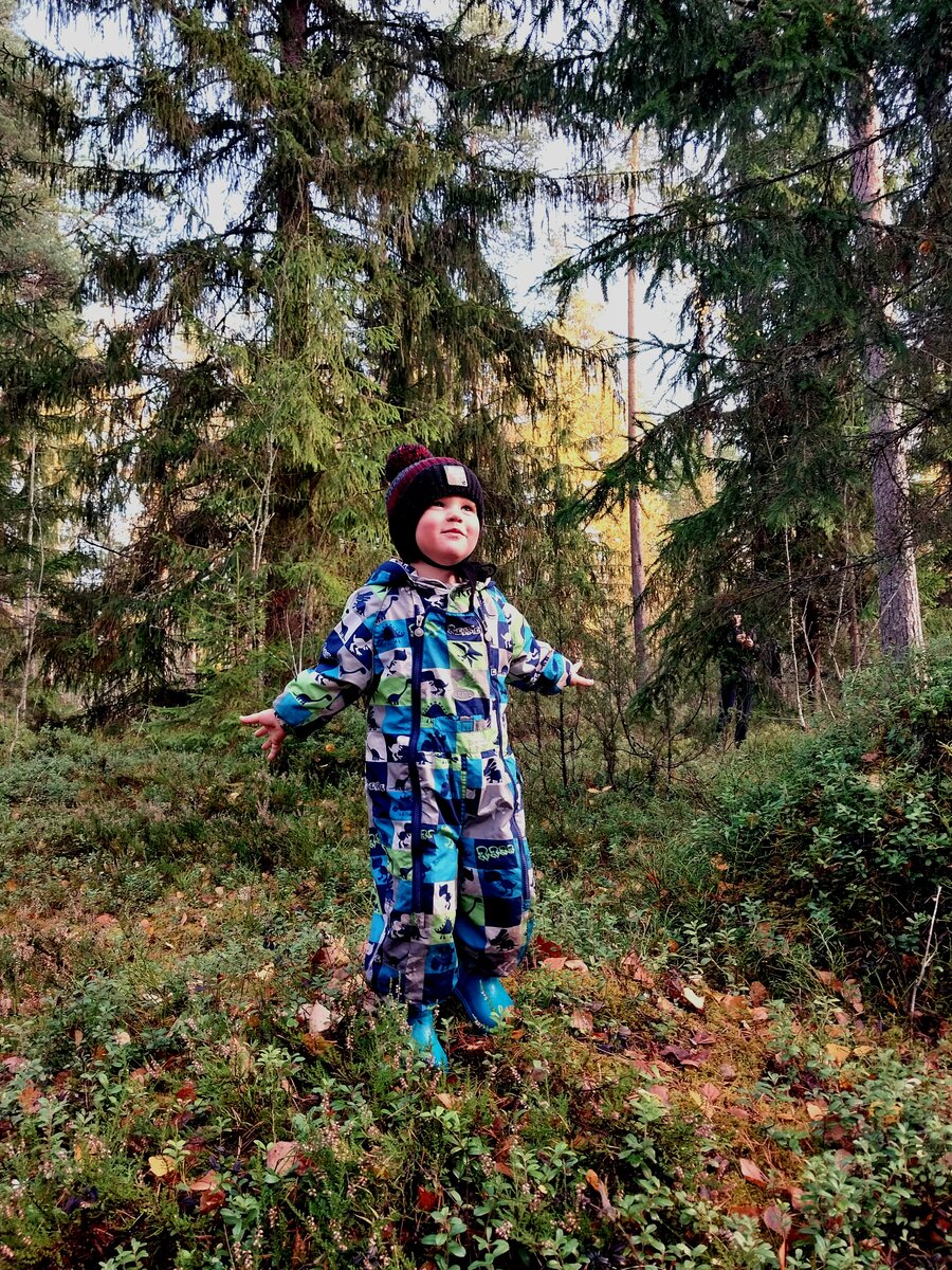 Данька порхает среди сосудистых и мохообразных.. Вправо - редкие позвоночные на камнях и в ямах. Природа и правда потрясная. Дышать можно всеми лёгкими, а не как обычно...