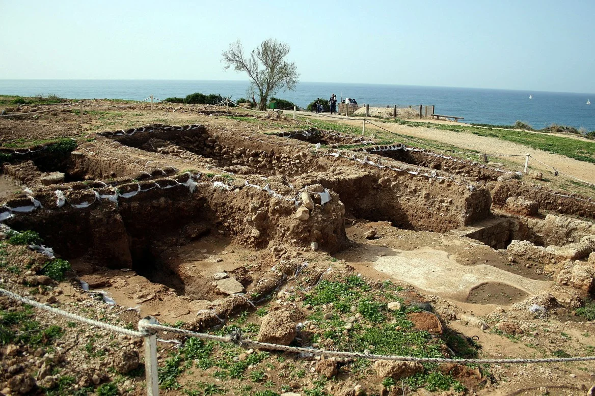 городище гермонасса тмутаракань в тамани. гермонасса тамань. история тамани. таманское городище гермонасса. городище гермонасса тмутаракань в тамани.