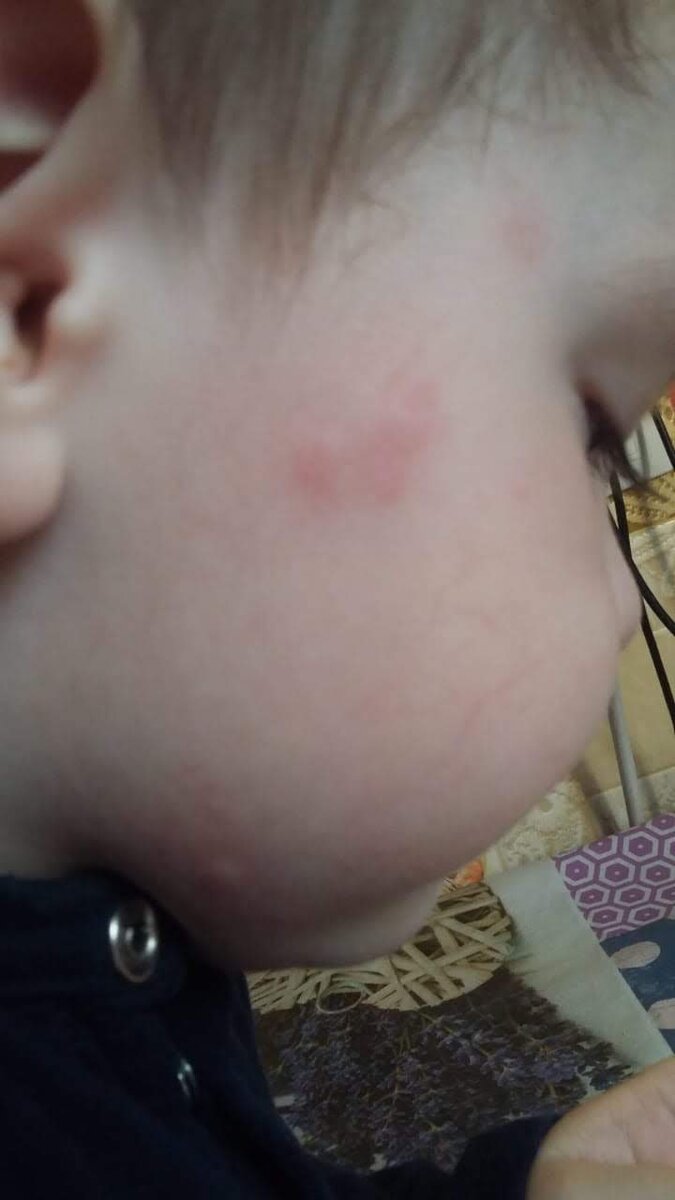 Дома после садика я также сфотографировала и отправила воспитателю