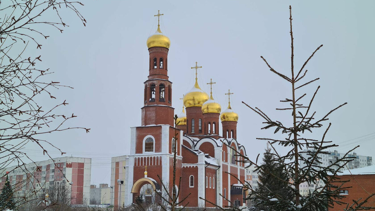     Меры безопасности будет контролировать полиция.