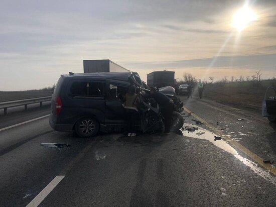     Фото: МК на Дону