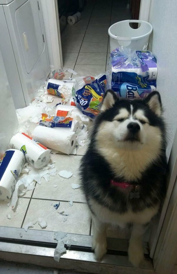 Добавьте описание