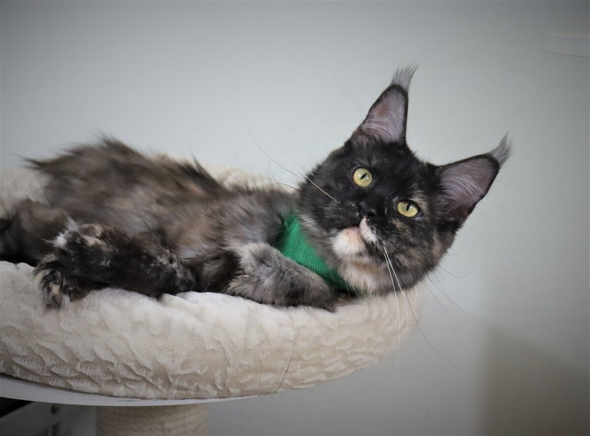 Фото из личного архива.