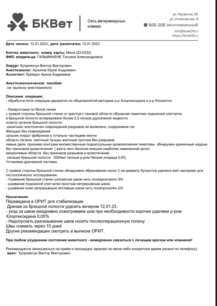 Протокол операции. Его нам прислали по электронной почте