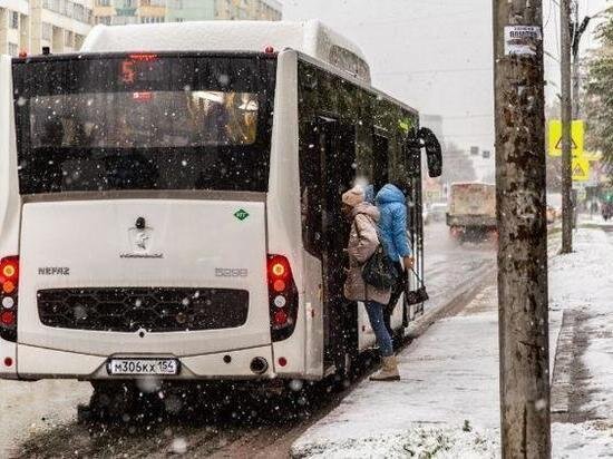     Фото: Густаво Зырянов / МК в Новосибирске