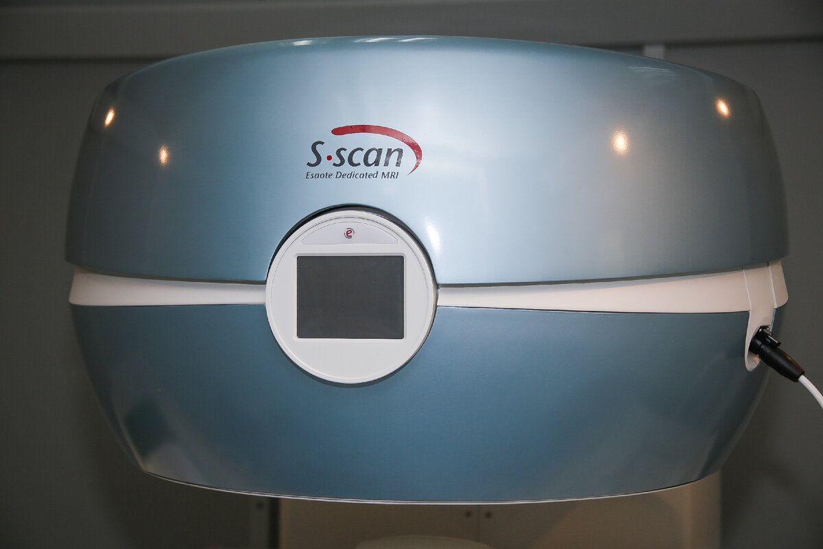 Как подготовить собаку или кошку к МРТ: подсказки и советы