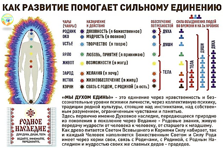 Чакральная система славян - система коловрата