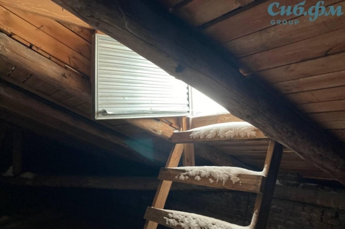    В Новосибирске разбившаяся 16-летняя девушка попала на крышу через чердак