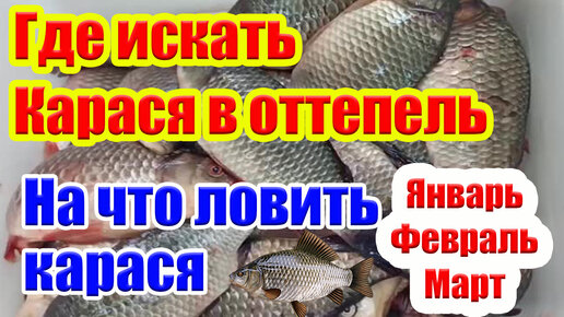 Рыбалка на карася зимой на озере Салтаим. 200км за 10 карасями... Бывает и такое на рыбалке...