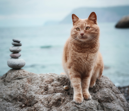 Photo by Svetlana Aprel on Unsplash