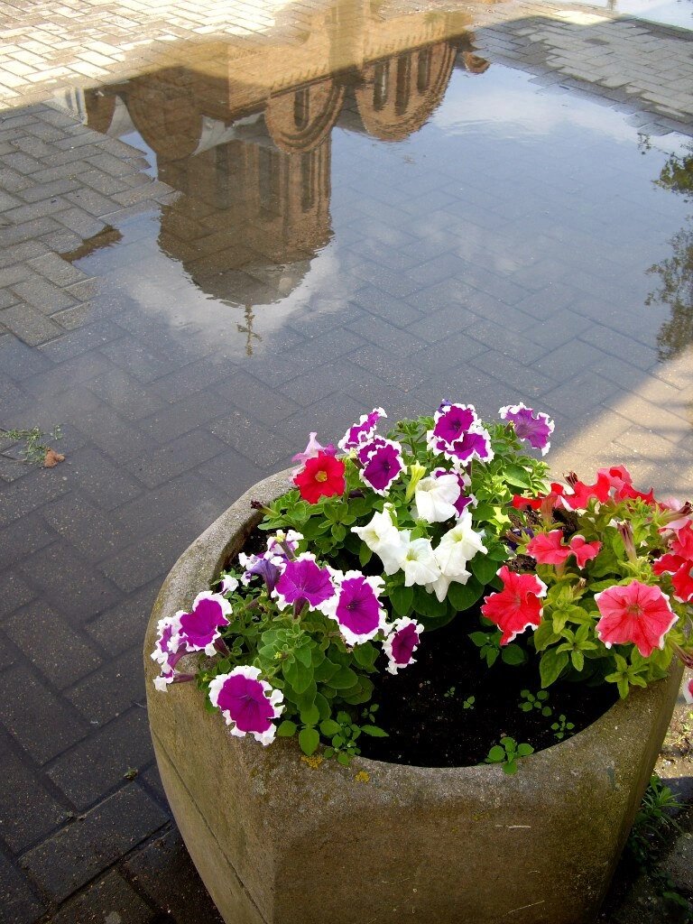 Фото Сергея Михеева