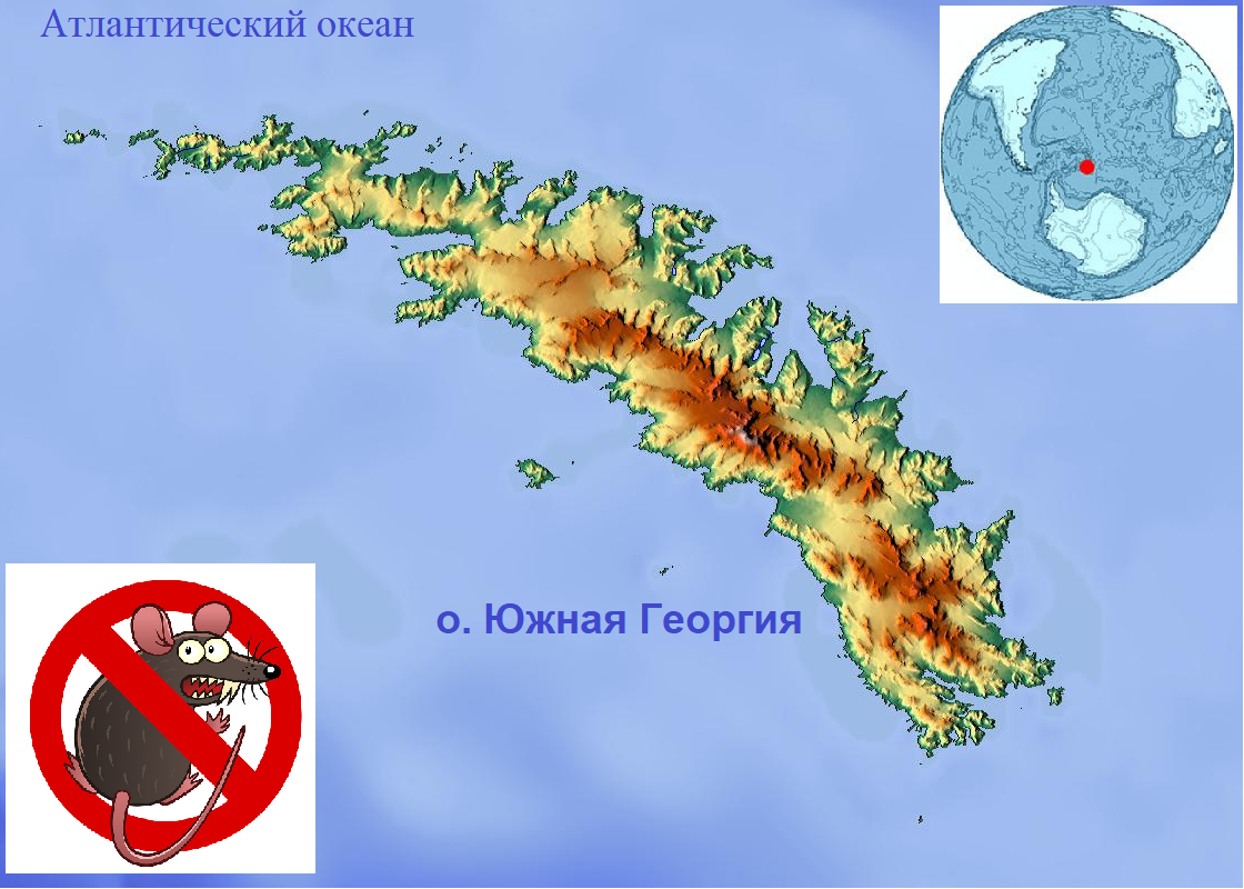 Сандвичевы острова на карте мира. Пролив дрейка на карте антарктиды. Южная георгия на карте. Остров новая земля. Остров южная георгия на карте мира.