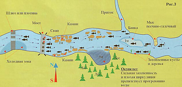 Карта рыбных мест на дону