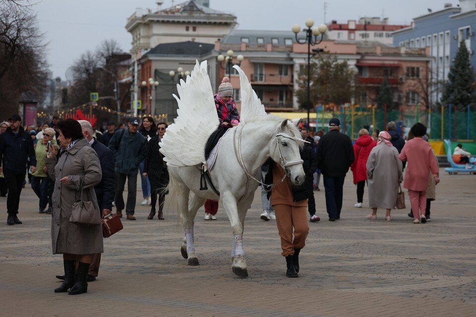     Масленичные гуляния в Краснодаре Виталий ТИМКИВ