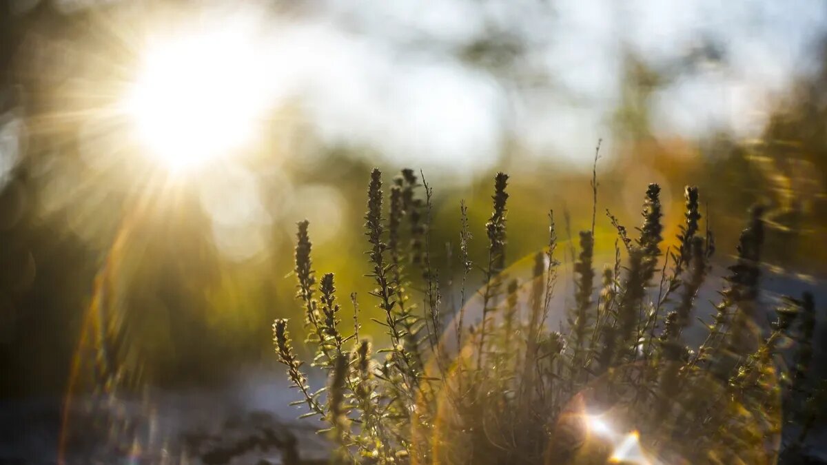 Солнце не прекращает давить на Землю новыми геоударами. Фото: pxhere.com