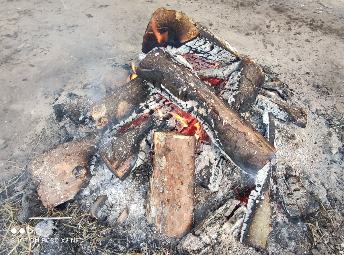 Посвящается Светлане.