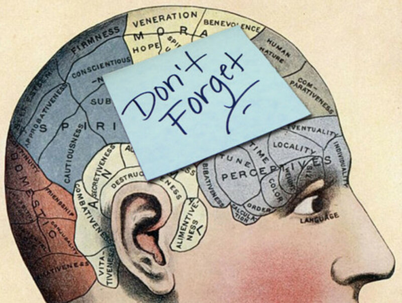 "Память - это тайное сокровище, которое мы носим с собой." - Mark Twain.