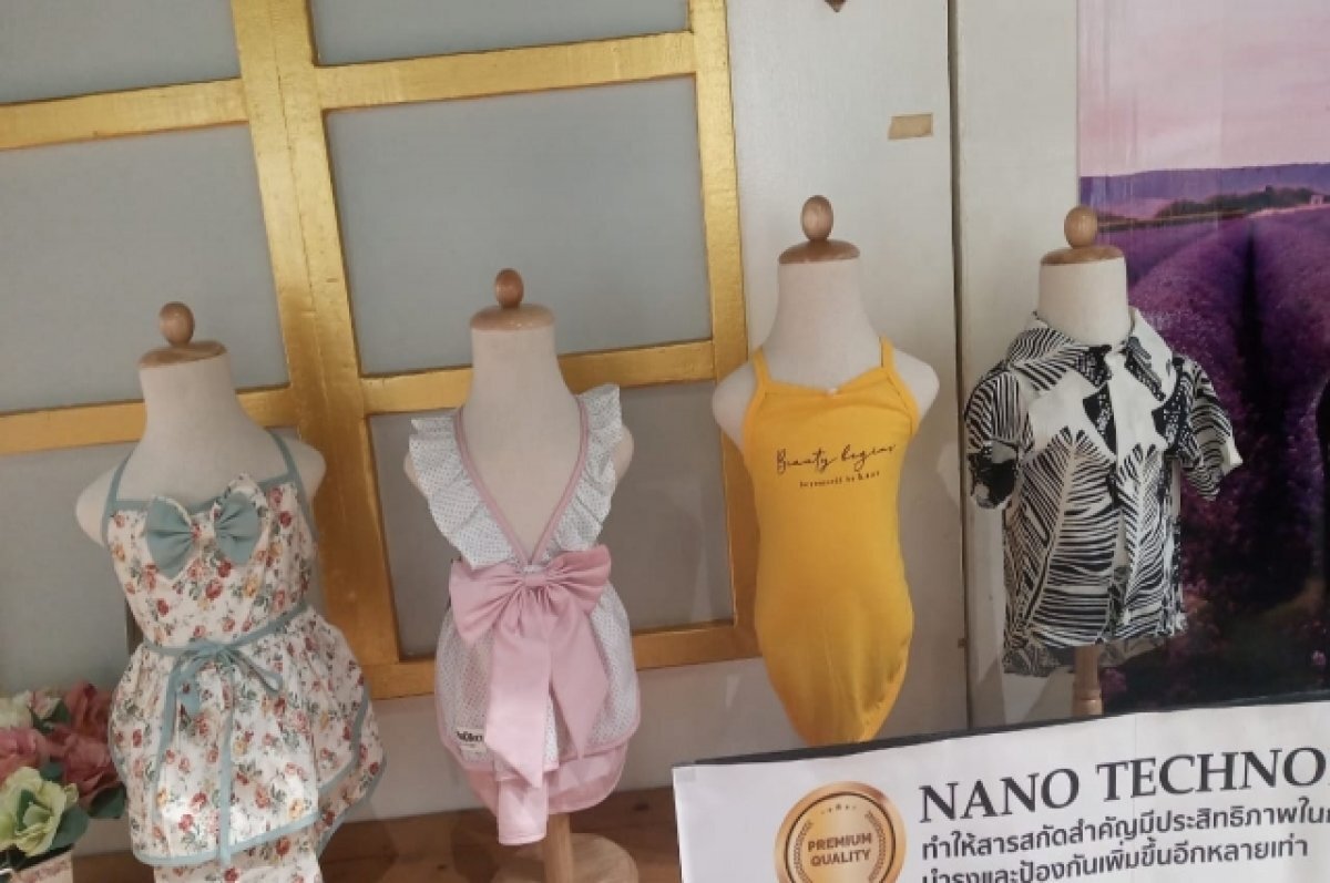    «Панк, милота и Куклачёв»: приморец обшивает и выгуливает в городе 9 собак