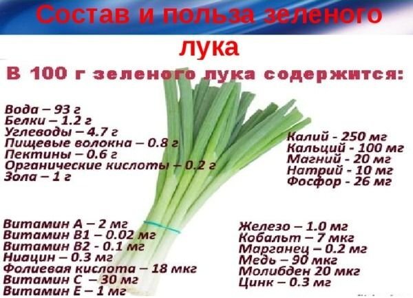 Чем полезен зеленый лук и укроп