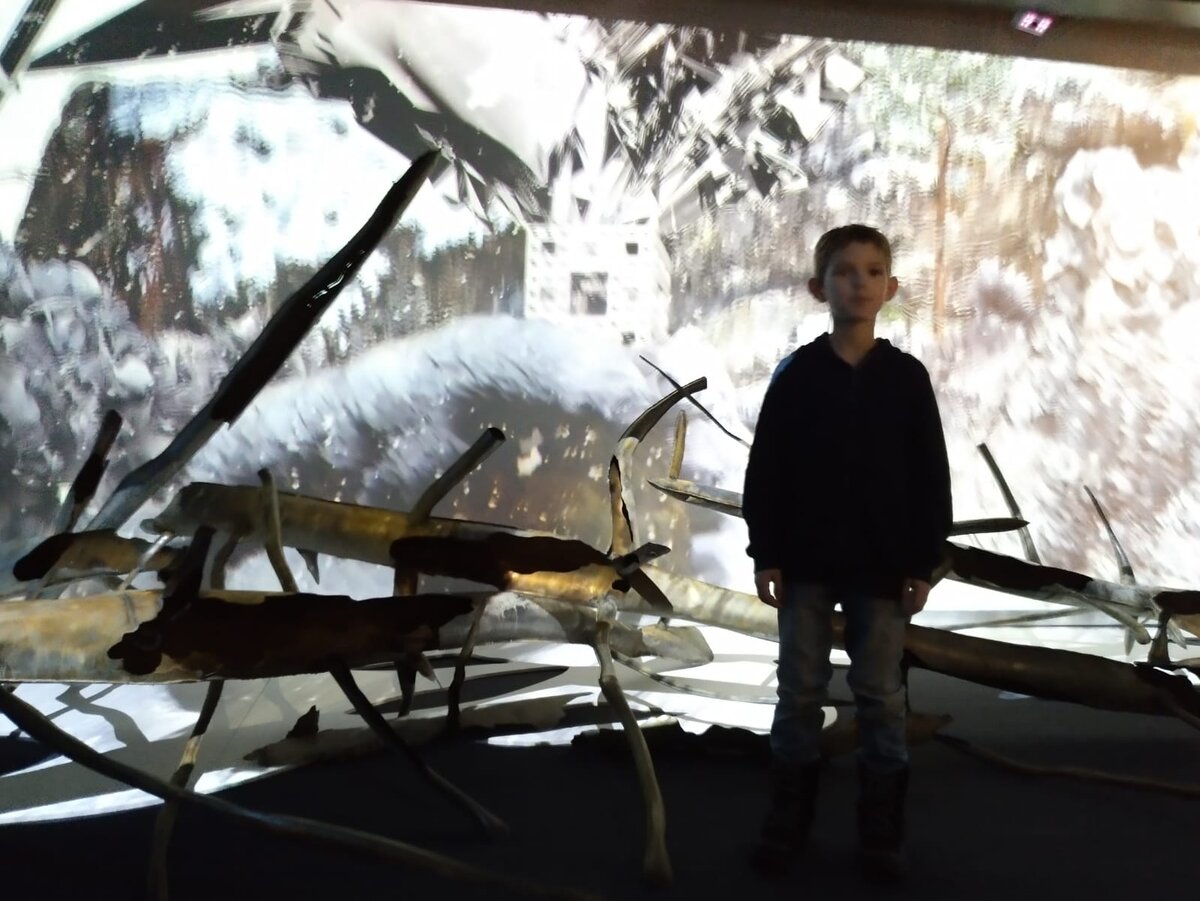 Что-то было навалено на полу, а на стене показывали красивый зимний лес... Должно было быть ощущение присутствия в тайге, наверно, но это не точно...