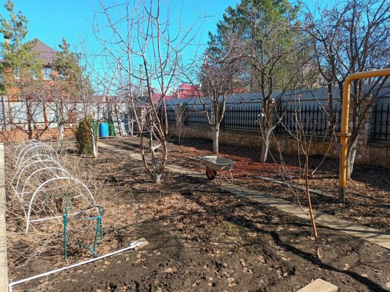    Эксперт рассказал дачникам об опасностях в начале весенне-летнего огородного сезона Андрей Севостьянов