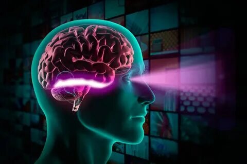 Взято с Яндекс картинок