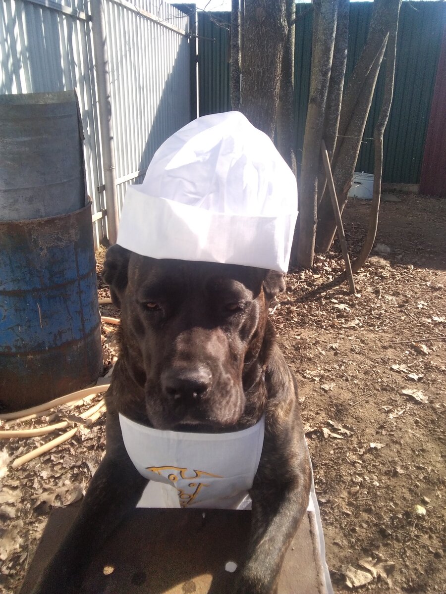 Фото автора. 