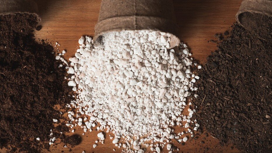 ShutterStock/Fotodom.ru 