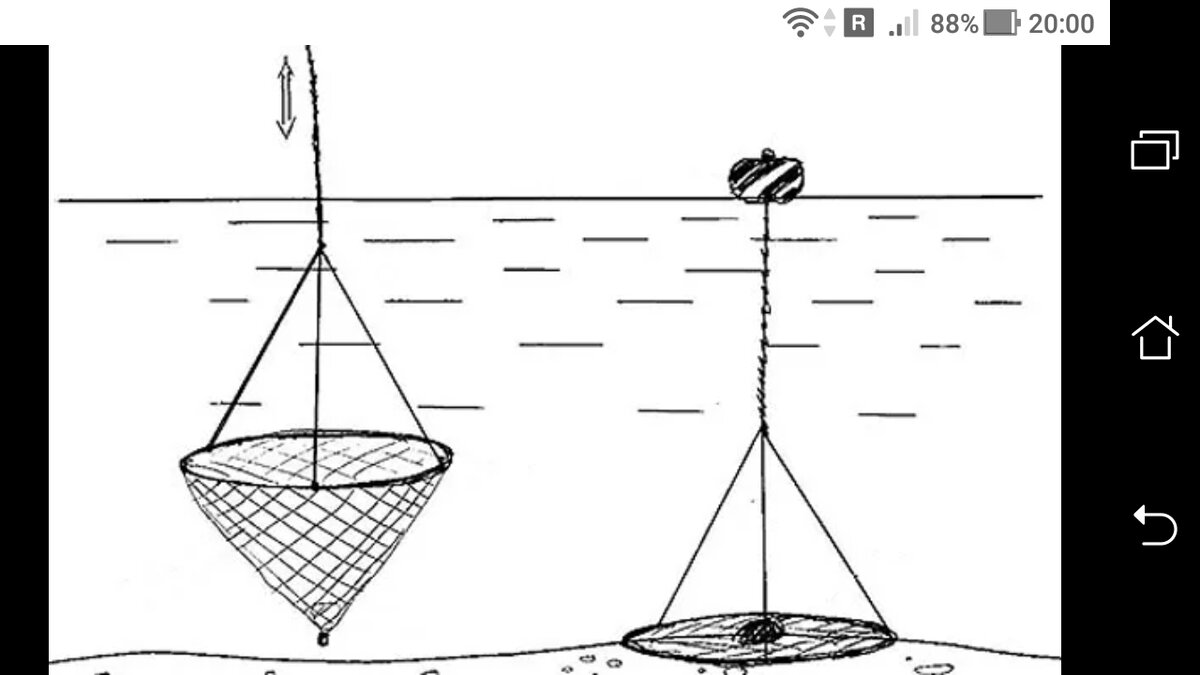Снасть для ловли рака: Рака-ловка + с берега.