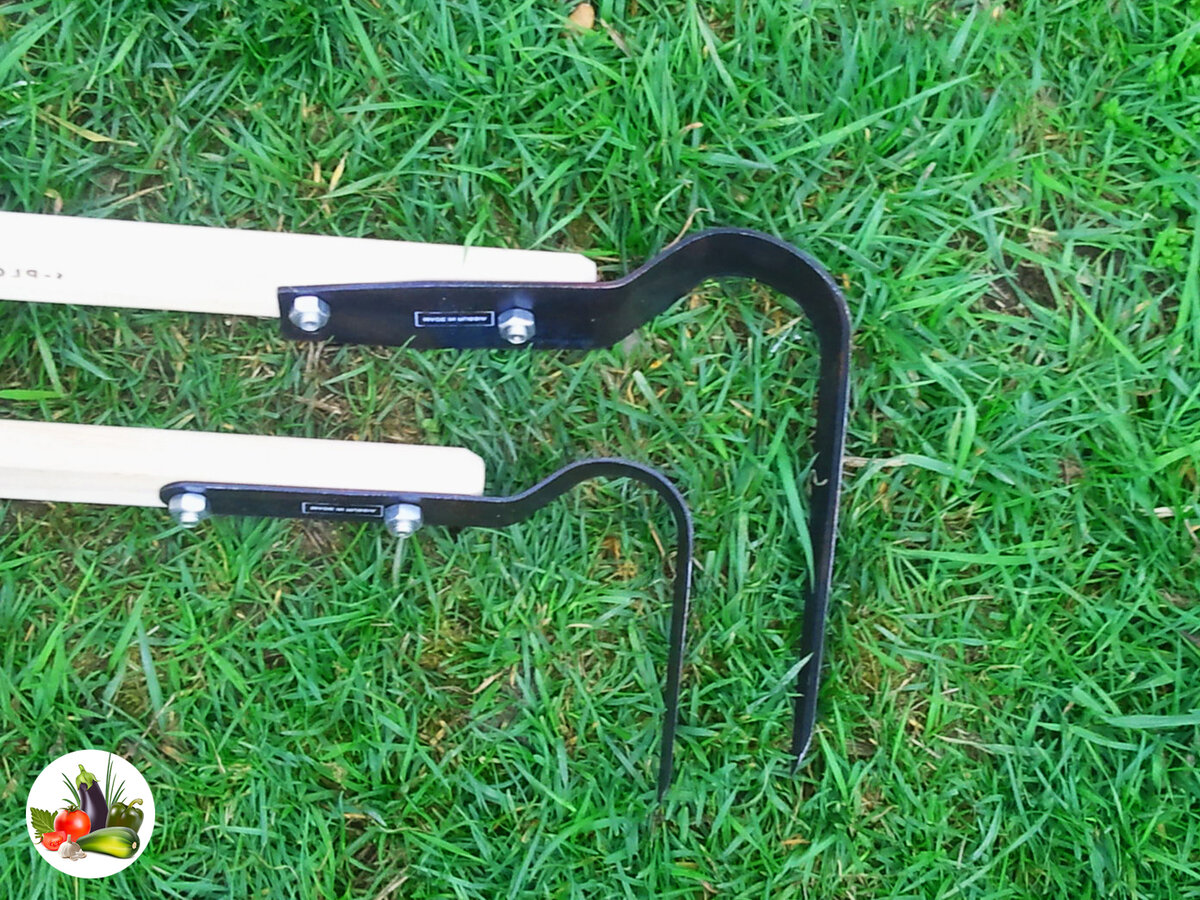 фото я взяла с интернета