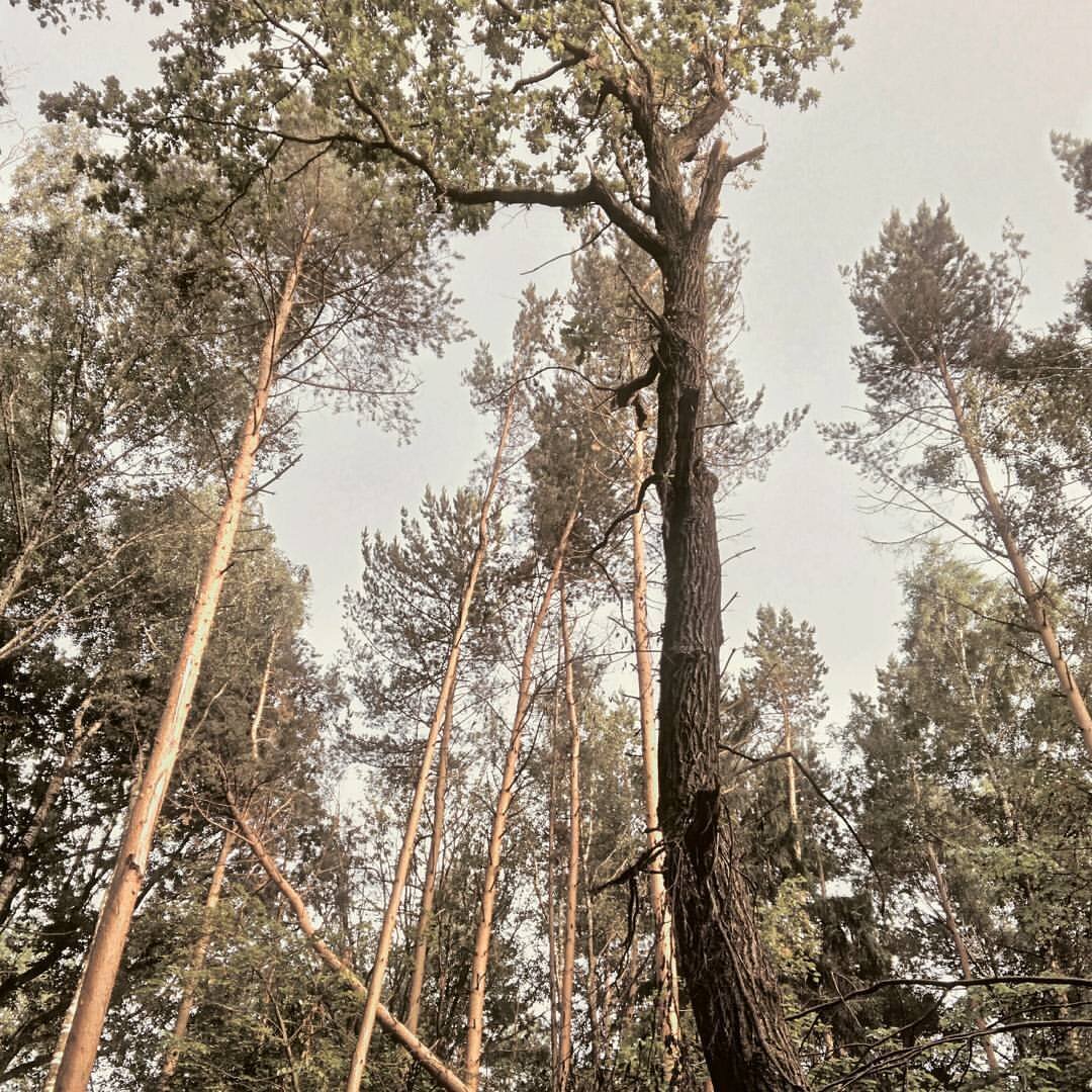 Фото Олега Шатохина 