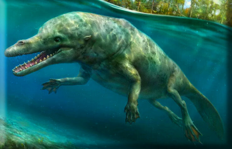 Чем-то уже напоминает дельфина, правда?