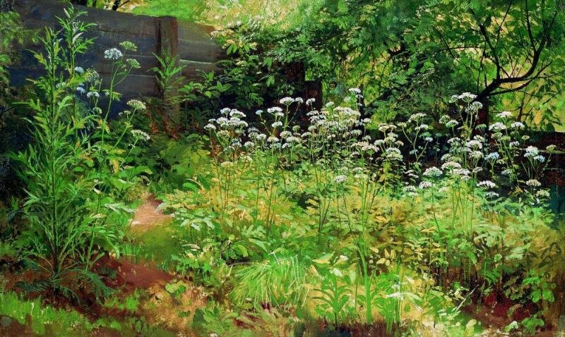 Сныть-трава. Парголово . Иван Иванович Шишкин. 1885. Холст, масло.