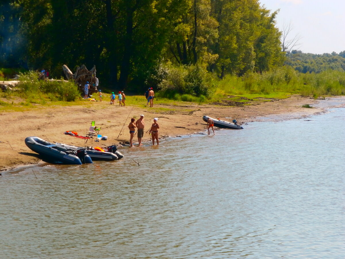 Живем по доходам, а правила одни | Городской рыболов... | Дзен