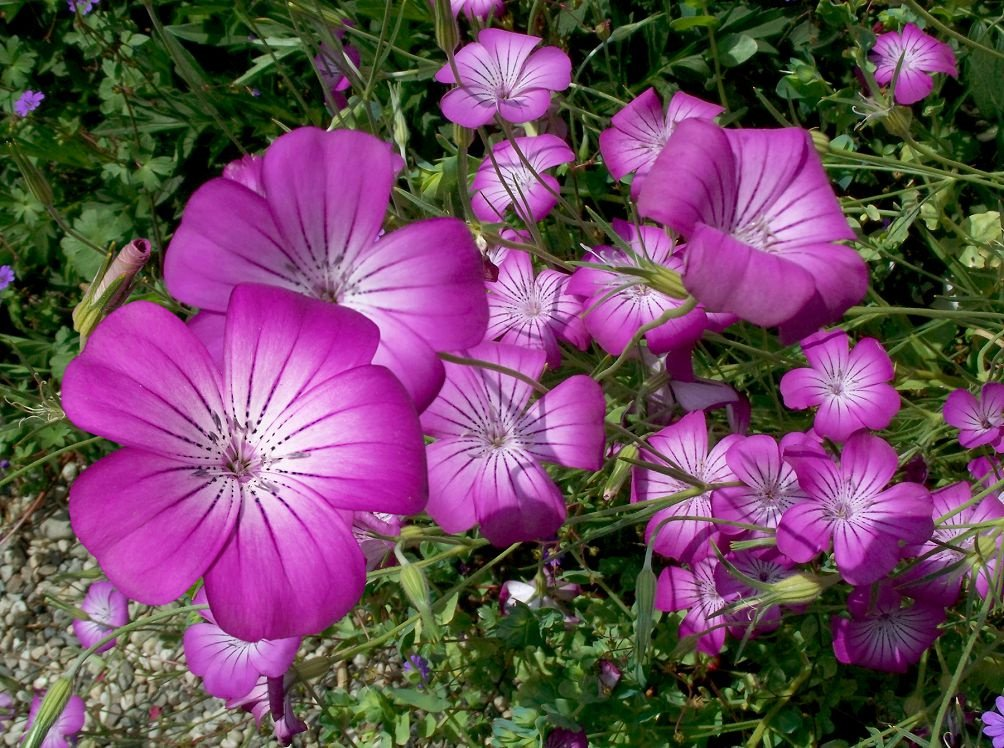 фото zakupator.com