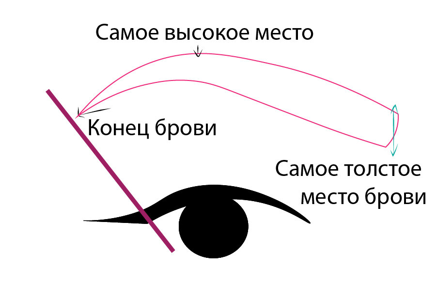 Форма брови схема