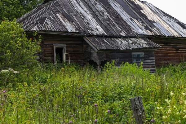 Путешествие к заброшенной деревне в Русской Глубинке. Что осталось?