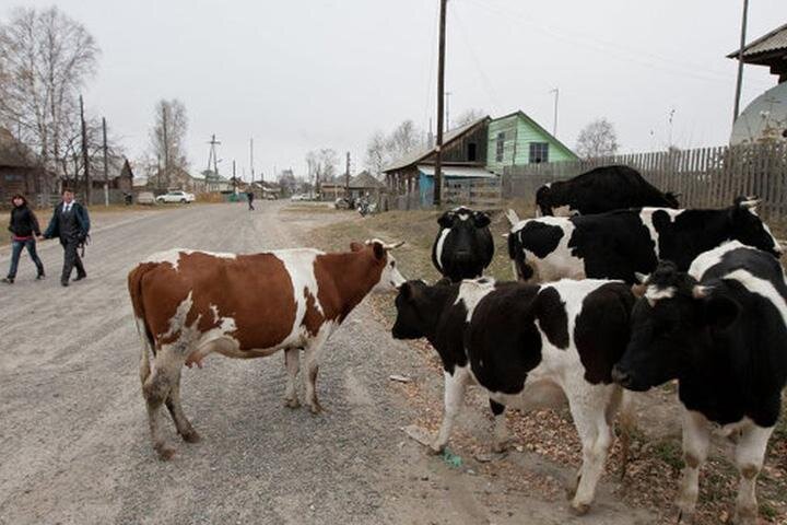 Фото: Аскиз-пресса.рф