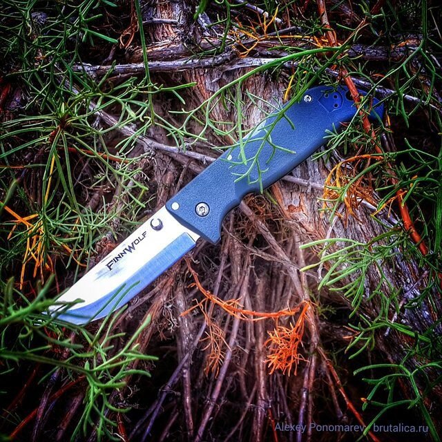 Фотография взята с сайта brutalica.ru, нож – Cold Steel Finn Wolf.