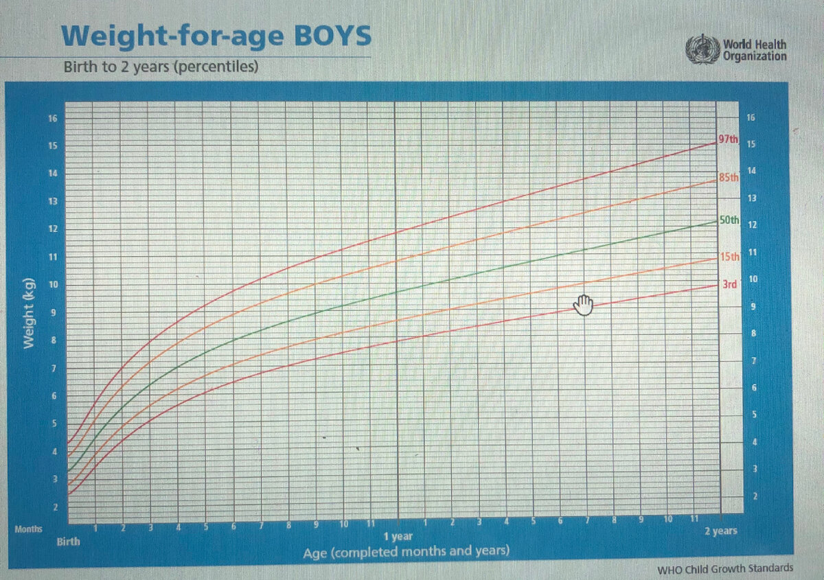 график прибавки веса воз для мальчиков. нормы веса воз для мальчиков до года. график веса до года. график веса до года. график веса до года.