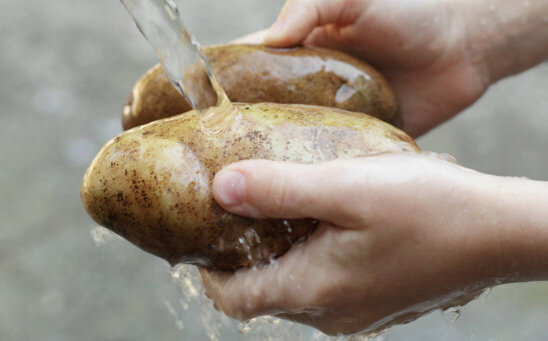 Хранение мытого картофеля – преимущества и недостатки