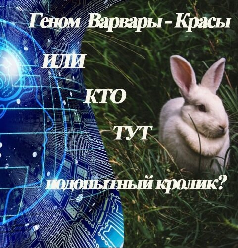               Приятно в будний день, в обед, расслабиться, сидя на удобном диване ресторана, попивая легкий аперитив в ожидании своего любимого блюда.        Таша сидела за столом, откинувшись на спинку удобного дивана, с бокалом вина слегка поигрывая им. 
        Карен сидел напротив нее, любуясь ее расслабленной позой, изящной рукой с бокалом в руке. На ней был одет легкий летний синий сарафан, подчеркивающий ее фигуру. 
        В ресторане посетителей было немного, с лева от них пожилая пара, чуть дальше, судя по внешнему виду коллеги на деловой встрече, двое мужчин, они вели не слышный для Карена и Таши разговор. Справа далековато от них сидел одинокий мужчина средних лет, и не спеша пил кофе.  
       Официант принес их заказ.  Карен не спешил, наслаждаясь ароматом, идущим от тарелки, Ташей, сидящей напротив, смакующей каждый кусочек. Легкой непринужденной музыкой, фоном играющей в ресторане. В такие минуты понимаешь, что ты действительно счастлив.  Они были вместе, все у них было хорошо и впереди их ждет самая лучшая жизнь. 
       Официант провел к столику еще двоих посетителей. Они сразу привлекли к себе внимание всех кто бы в ресторане. Пожилая, хорошо одетая женщина лет шестидесяти,  очень ухоженная с аккуратно уложенной прической, в меру накрашенная, в ушах, и на шее дорогие серьги и цепочка с кулоном, на руках дорогие кольца, костюм, одетый на ней,  и подобранный по фигуре, сидел идеально. Манеры и поведение женщины выдавали в ней женщину из высшего общества как говорят в народе. Сопровождал эту женщину молодой человек лет тридцати на вид.  Одетый  в роскошный костюм без галстука, он помог женщине сесть, смерив официанта презрительным взглядом, и сразу заказал самое дорогое шампанское.
- Дорогая, – слишком наигранным тоном произнес он, обращаясь к своей спутнице. 
- Я слушаю тебя, – женщина, не скрывая своего обожания, смотрела на него, буквально тая от его взгляда.
- Зря мы сюда пришли, -  произнеся это, парень  небрежно развалился сидя на  стуле, расстегнув  пиджак и первые три верхние пуговицы на своей рубашке.
- Ох, Александр, – выдохнула женщина, - Я хочу… – она замолчала, переводя дыхание, глядя на грудь парню, - Я хочу, - выдохнула она,  - Дать тебе все самое лучше что есть, и этот ресторан самый лучший. 
- С тобой трудно спорить, - широко улыбнулся парень, наклоняясь к ней, беря ее за руку, прижимая ее к своим губам.  - Официант. – громко, на весь зал, закричал он. – Где наше шампанское?
- Забавная  парочка, – ухмыльнулся Карен, наблюдая за ними с полуоборота.
- Ничего особенного, – пожала плечами Таша, едва взглянув на них.
