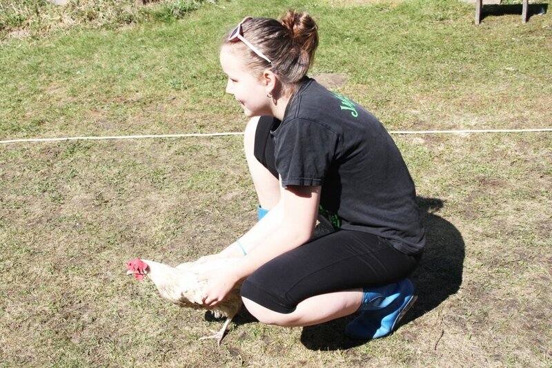 В общем, смотрите-начало сезона:

