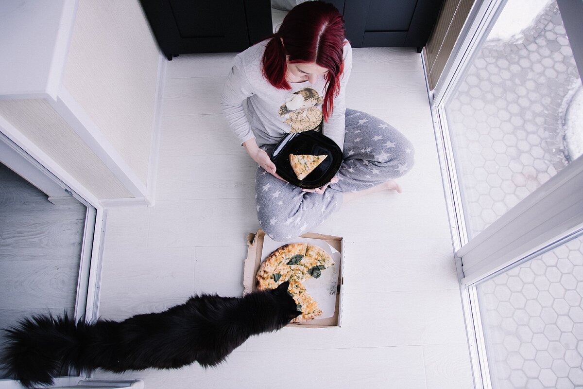 дзен записки ворчливой кошатницы