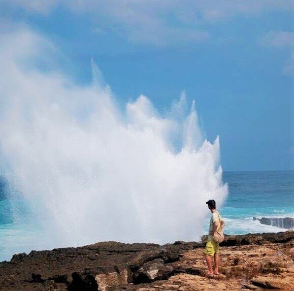 фото из открытых источников yandex.ru