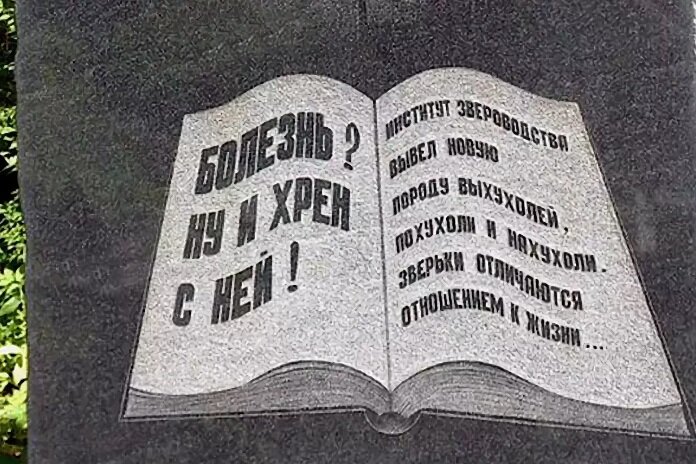 Главное - оставаться оптимистом до конца. Конца жизни