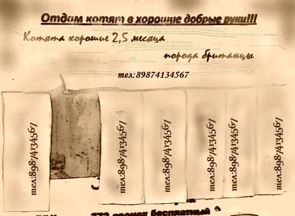 номер придуманный на объявление