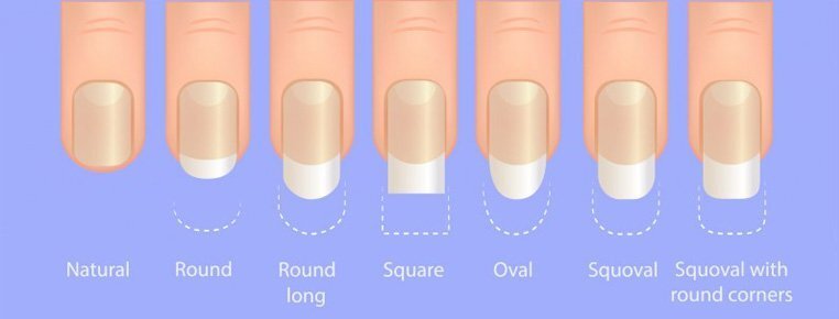 Фото: из свободного источника